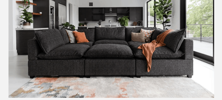 A picture containing indoor, living, floor, sofa Description automatically generated