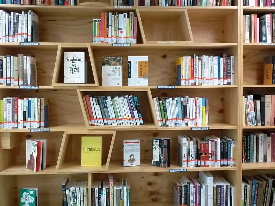 bookcase ideas